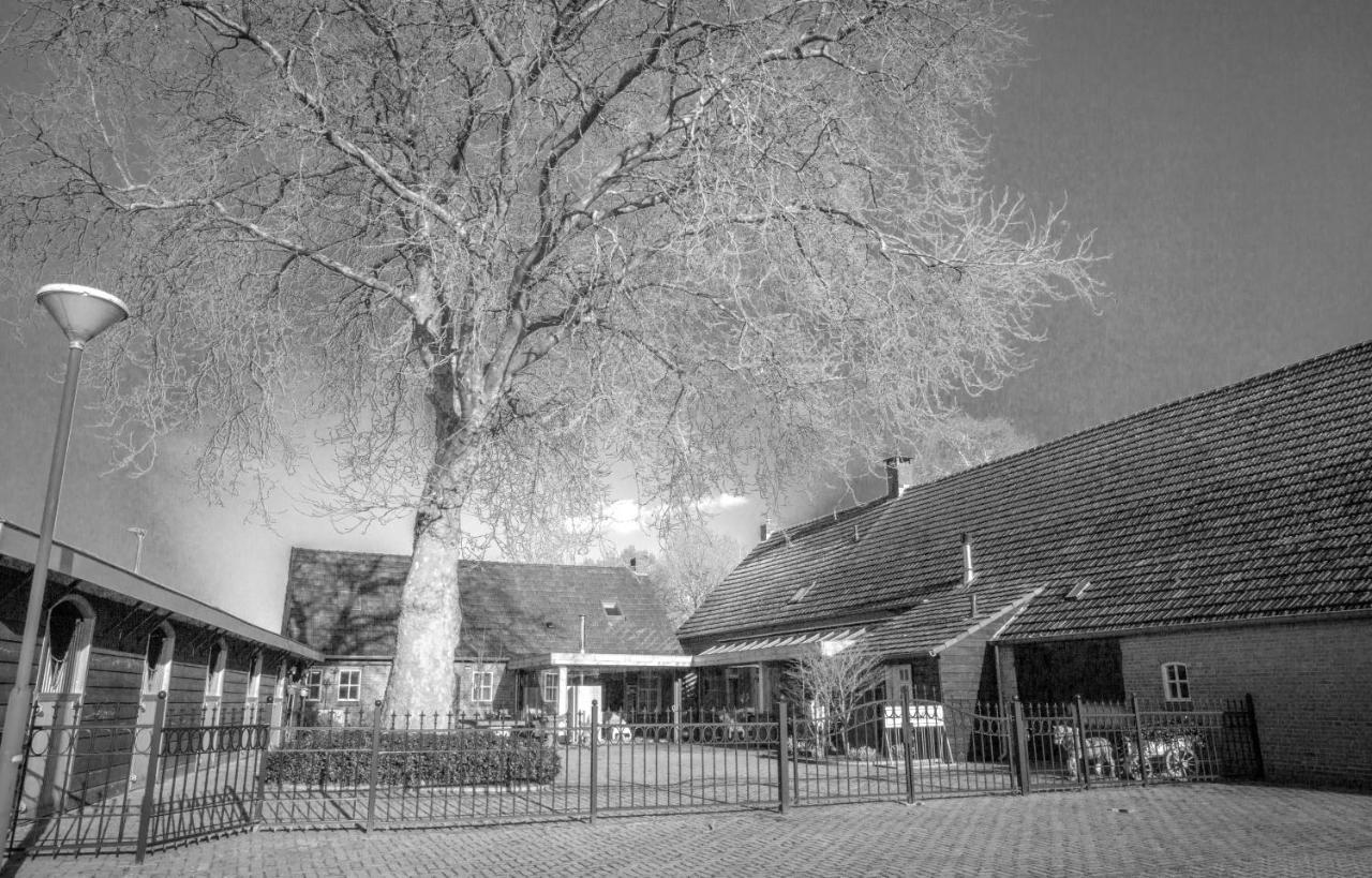 Bed En Box 3610 Bed & Breakfast Oirschot Exterior photo