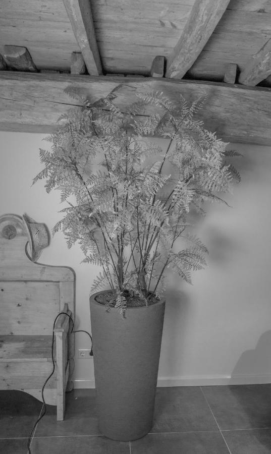 Bed En Box 3610 Bed & Breakfast Oirschot Exterior photo
