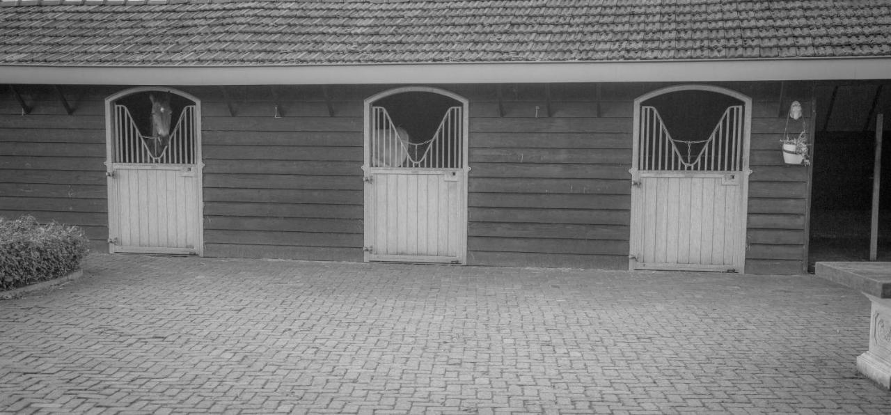 Bed En Box 3610 Bed & Breakfast Oirschot Exterior photo